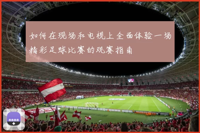 如何在现场和电视上全面体验一场精彩足球比赛的观赛指南