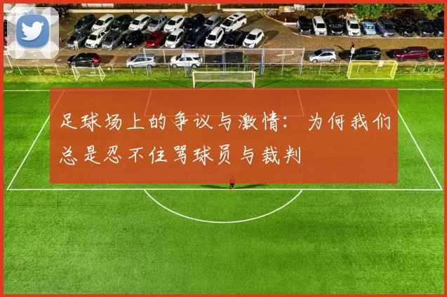 足球场上的争议与激情：为何我们总是忍不住骂球员与裁判