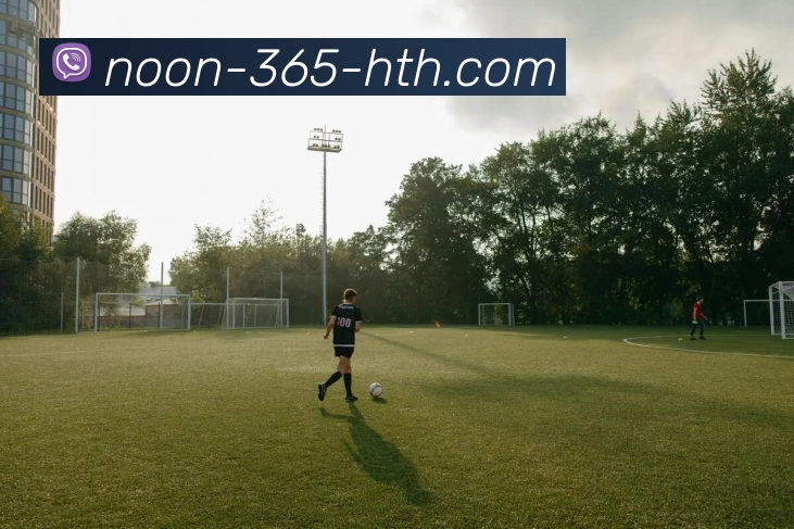 篮球教练w的执教之路与成功秘诀分享探讨